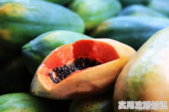 五一吃瓜-必吃大瓜:畅享春季美味,推荐多款新鲜水果与特色小吃,让你的假期更加丰富多彩! 五一吃瓜-必吃大瓜:畅享春季美味,推荐多款新鲜水果与特色小吃,让你的假期更加丰富多彩!