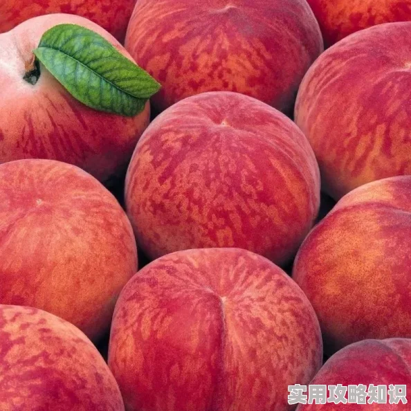 五一吃瓜-必吃大瓜:畅享春季美味,推荐多款新鲜水果与特色小吃,让你的假期更加丰富多彩! 五一吃瓜-必吃大瓜:畅享春季美味,推荐多款新鲜水果与特色小吃,让你的假期更加丰富多彩!