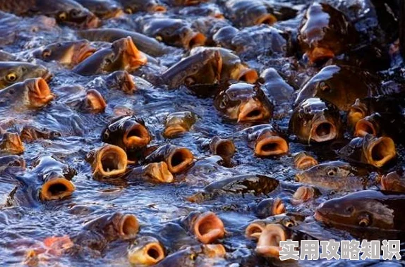 亚洲成a人v欧美综合天堂软件:最新科技进展引发用户热议,如何影响未来的数字娱乐生态? 亚洲成a人v欧美综合天堂软件:最新科技进展引发用户热议,如何影响未来的数字娱乐生态?