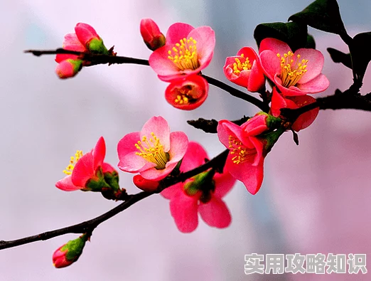 hjdo43.ccm＂：春风得意，花开富贵，一帆风顺，笑逐颜开