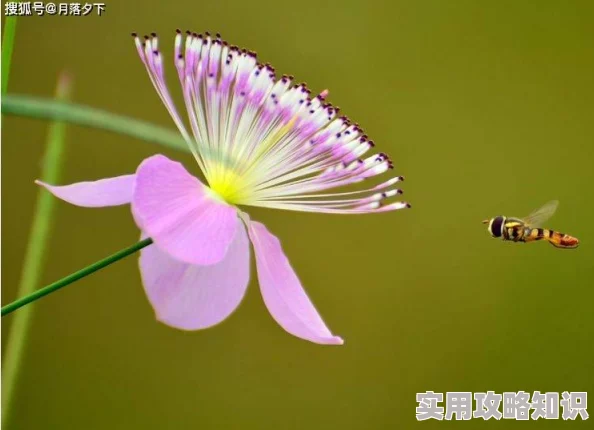 hjdo43.ccm＂：春风得意，花开富贵，一帆风顺，笑逐颜开