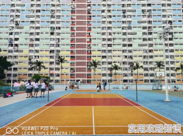 中文字幕亚洲一区：最新动态与热门影片推荐，带你领略精彩的影视世界与文化魅力！