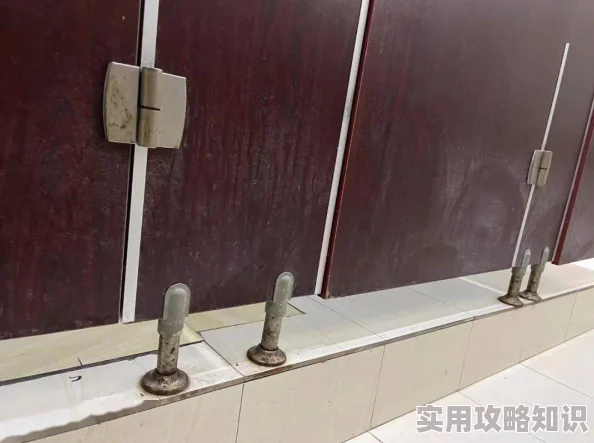 一杆长枪植入两扇门，揭示了安全与隐私之间的微妙平衡，引发社会对公共空间监控的深思