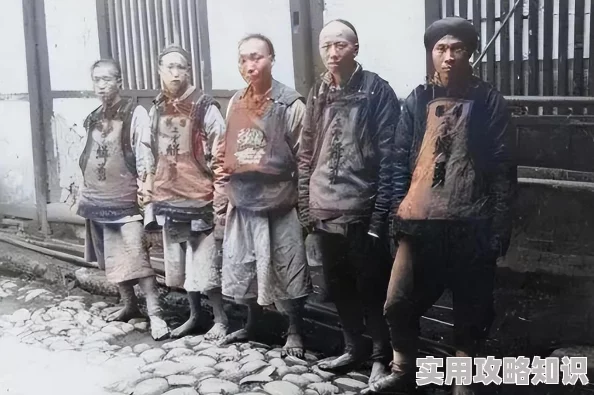 《文明6》扩展包深度探索：风云变幻带来的全新策略挑战与气候变迁体验