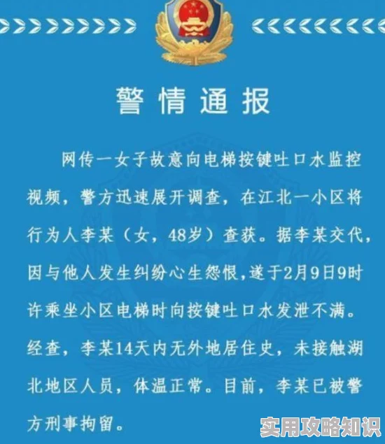 国内黄色录像行业监管趋严，相关法律法规不断完善，市场秩序逐步规范化，行业发展面临新挑战与机遇